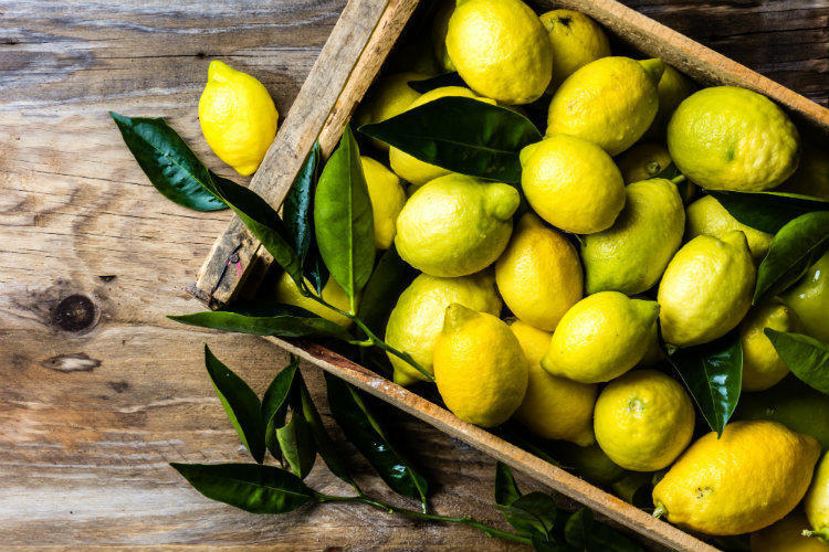 Похудеть к Новому году: как быстро похудеть к НГ – лимонная диета