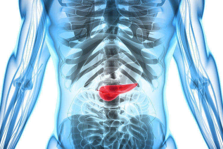 Воспаление поджелудочной железы (панкреатит): виды, причины появления, методы лечения