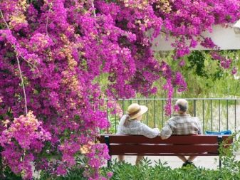 48 років – яка це весілля? Що прийнято дарувати батькам на аметистову річницю спільного життя?