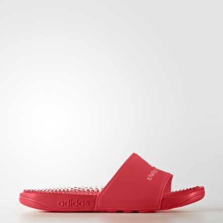 Adidas by Stella McCartney (52 фото): кросівки, жіночі рюкзаки, сумки, шорти, легінси та інший одяг