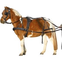 Амуніція для коня (51 фото): збруя й шори, віжки і інші елементи упряжі. Стремена, вудила та інші аксесуари для коней