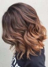 Балаяж в домашніх умовах (73 фото): як зробити балаяж будинку за схемою? Покрокова техніка виконання фарбування