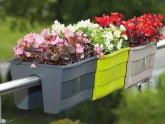 Балконні ящики для квітів: пластикові ящики з кріпленням і підвісні ящики з ротанга, квіткові ящики з автополиву і інші моделі на балкон