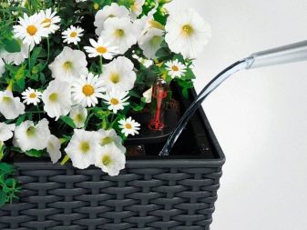 Балконні ящики для квітів: пластикові ящики з кріпленням і підвісні ящики з ротанга, квіткові ящики з автополиву і інші моделі на балкон