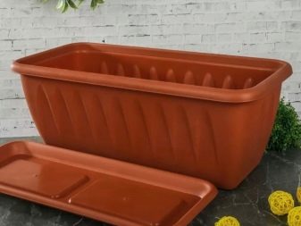 Балконні ящики для квітів: пластикові ящики з кріпленням і підвісні ящики з ротанга, квіткові ящики з автополиву і інші моделі на балкон