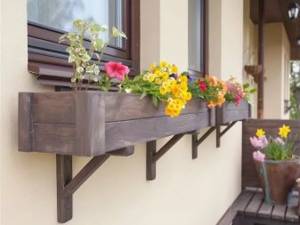 Балконні ящики для квітів: пластикові ящики з кріпленням і підвісні ящики з ротанга, квіткові ящики з автополиву і інші моделі на балкон