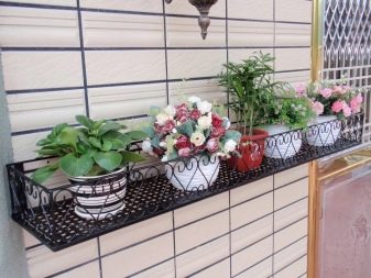 Балконні ящики для квітів: пластикові ящики з кріпленням і підвісні ящики з ротанга, квіткові ящики з автополиву і інші моделі на балкон