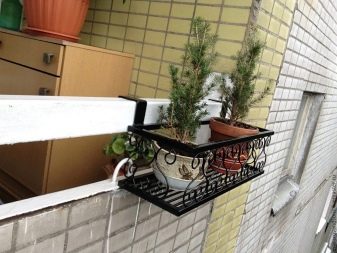 Балконні ящики для квітів: пластикові ящики з кріпленням і підвісні ящики з ротанга, квіткові ящики з автополиву і інші моделі на балкон
