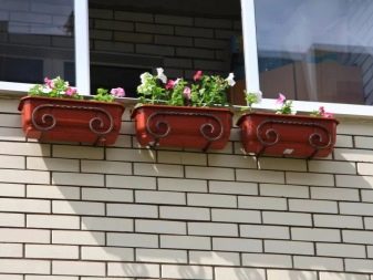 Балконні ящики для квітів: пластикові ящики з кріпленням і підвісні ящики з ротанга, квіткові ящики з автополиву і інші моделі на балкон