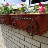 Балконні ящики для квітів: пластикові ящики з кріпленням і підвісні ящики з ротанга, квіткові ящики з автополиву і інші моделі на балкон