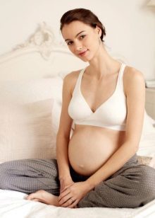 Бюстгальтер для вагітних (42 фото): підтримує ліфчик, допологовий і інші моделі, як їх вибрати і носити при вагітності