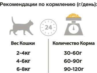 чи Можна годувати кішку сухим, вологим і натуральним кормом одночасно? Як правильно змішувати корми? За і проти їх поєднання