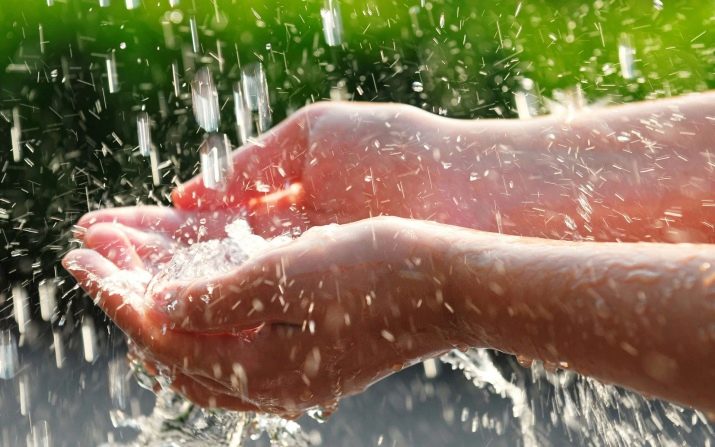 Чому акваріуми не можна заповнювати охолодженою перевареною водою? 7 фото Можна заливати кип’ячену воду? Як правильно додавати?
