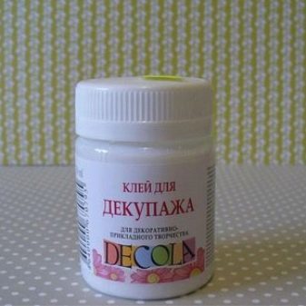 Декупаж пляшок серветками своїми руками (29 фото): як початківцям зробити прикраси для пластикової пляшки покроково? Майстер-клас для початківців по техніці декупажу серветками і яєчною шкарлупою