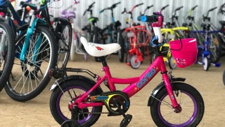 Дитячі велосипеди 12 дюймів: на який вік розраховані легкі велосипеди з колесами діаметром 12 дюймів для дівчаток і для хлопчиків?