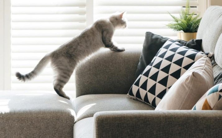 Дивани з рогожки (61 фото): чим тканина краще велюру і шенилла? Сірі і коричневі, кутові і «книжки». Приклади в інтер’єрі. Відгуки