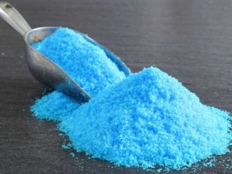Догляд за рибками і акваріумом (24 фото): як доглядати за великим акваріумом? Утримання акваріумних риб в домашніх умовах