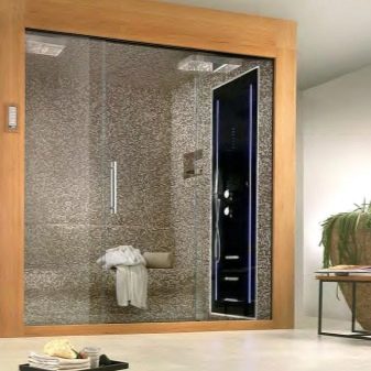 Душові кабіни з сауною: моделі з фінської парильнею для квартири і разом з інфрачервоною сауною у ванній кімнаті, інші
