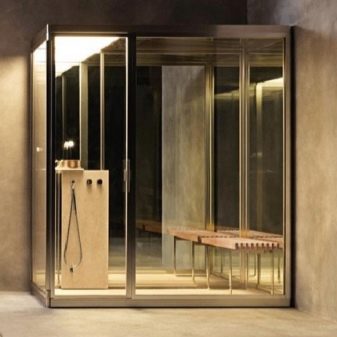Душові кабіни з сауною: моделі з фінської парильнею для квартири і разом з інфрачервоною сауною у ванній кімнаті, інші