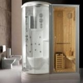 Душові кабіни з сауною: моделі з фінської парильнею для квартири і разом з інфрачервоною сауною у ванній кімнаті, інші