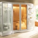 Душові кабіни з сауною: моделі з фінської парильнею для квартири і разом з інфрачервоною сауною у ванній кімнаті, інші