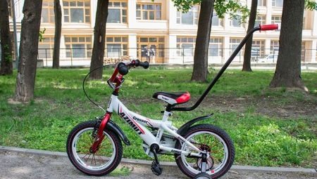Двоколісні дитячі велосипеди з ручкою: огляд моделей велосипедів з ручкою для батьків. Як вибрати велосипед з 2 колесами і батьківською ручкою?
