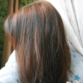 Фарбувати волосся на чисту або брудну голову? На які волосся краще наносити фарбу? Обов’язково мити голову перед фарбуванням? Чи можна фарбувати жирні волосся?