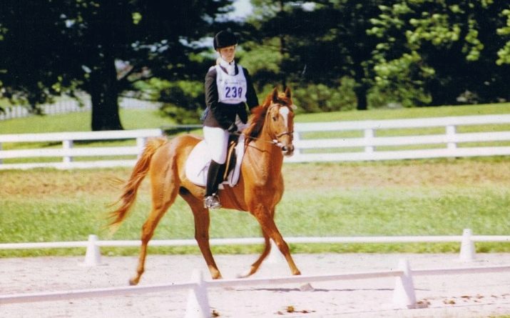 Галоп: як вчити кінь галопу? Як підняти її в галоп? Опис видів кінського галопу