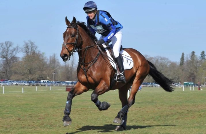 Галоп: як вчити кінь галопу? Як підняти її в галоп? Опис видів кінського галопу