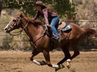 Галоп: як вчити кінь галопу? Як підняти її в галоп? Опис видів кінського галопу