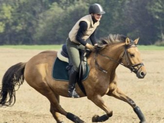 Галоп: як вчити кінь галопу? Як підняти її в галоп? Опис видів кінського галопу