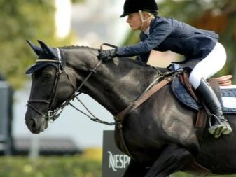 Галоп: як вчити кінь галопу? Як підняти її в галоп? Опис видів кінського галопу