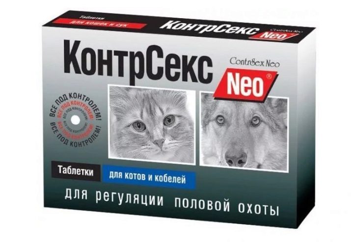 Кішка і новонароджена дитина: як кіт реагує на дитину в квартирі? Як він буде до нього ставитися?