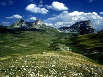 Каньйони річки Тара (43 фото): як дістатися до річки? Цікаві місця і особливості каньйонів