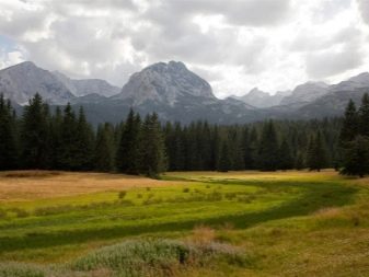 Каньйони річки Тара (43 фото): як дістатися до річки? Цікаві місця і особливості каньйонів