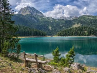 Каньйони річки Тара (43 фото): як дістатися до річки? Цікаві місця і особливості каньйонів