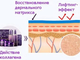 Колаген в корейської косметики: огляд кремів для обличчя з Кореї та інших засобів з колагеном. Їх плюси і мінуси