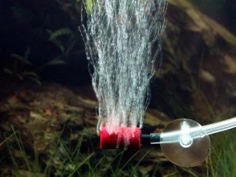 Компресор для акваріума своїми руками (26 фото): як зробити акваріумний аератор з підручних засобів? Саморобні компресори з кулера та інших матеріалів