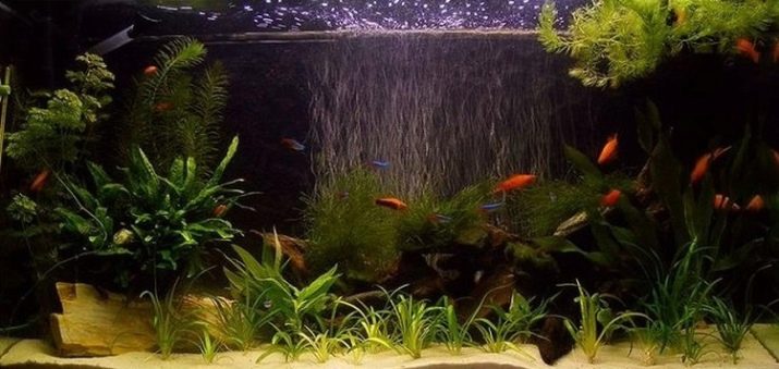 Компресор для акваріума своїми руками (26 фото): як зробити акваріумний аератор з підручних засобів? Саморобні компресори з кулера та інших матеріалів