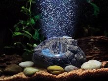 Компресор для акваріума своїми руками (26 фото): як зробити акваріумний аератор з підручних засобів? Саморобні компресори з кулера та інших матеріалів