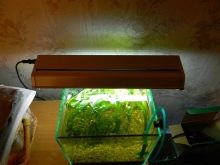 Компресор для акваріума своїми руками (26 фото): як зробити акваріумний аератор з підручних засобів? Саморобні компресори з кулера та інших матеріалів