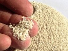 Корм для сфінкса: як вибрати корм для кошенят, собак та котів породи сфінкс?