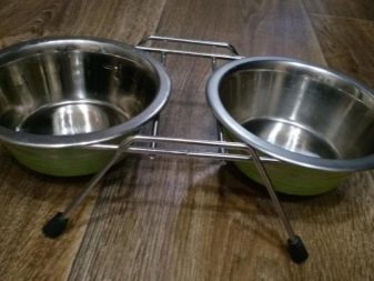 Корм для сфінкса: як вибрати корм для кошенят, собак та котів породи сфінкс?