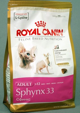 Корм для сфінкса: як вибрати корм для кошенят, собак та котів породи сфінкс?