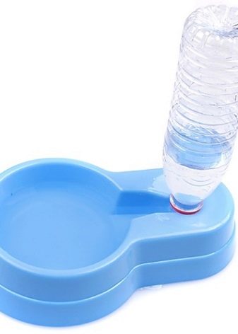 Корм для сфінкса: як вибрати корм для кошенят, собак та котів породи сфінкс?