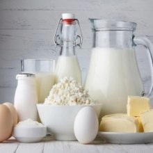 Корм для сфінкса: як вибрати корм для кошенят, собак та котів породи сфінкс?