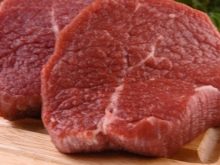 Корм для сфінкса: як вибрати корм для кошенят, собак та котів породи сфінкс?