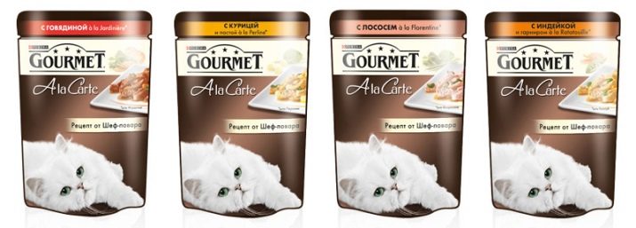 Корм для старих кішок: чим годувати кішку старше 12 років? Кращі корми для котів