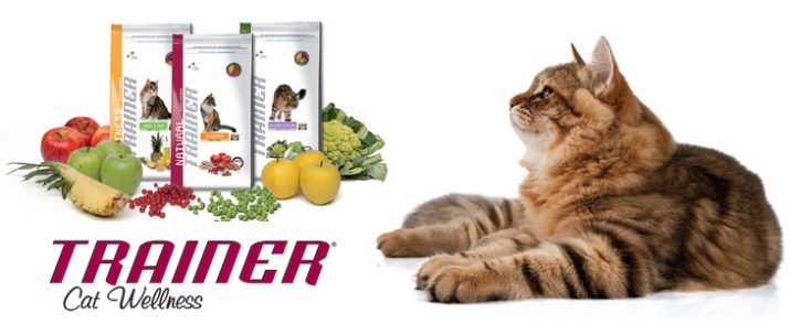 Корм для старих кішок: чим годувати кішку старше 12 років? Кращі корми для котів