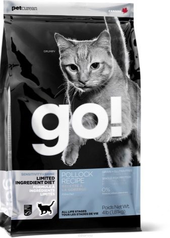 Корм для старих кішок: чим годувати кішку старше 12 років? Кращі корми для котів